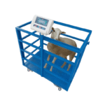 Waga dla owiec i kóz