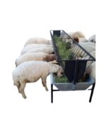 Karmnik na siano dla owiec i kóz 3 m - obrazek 2